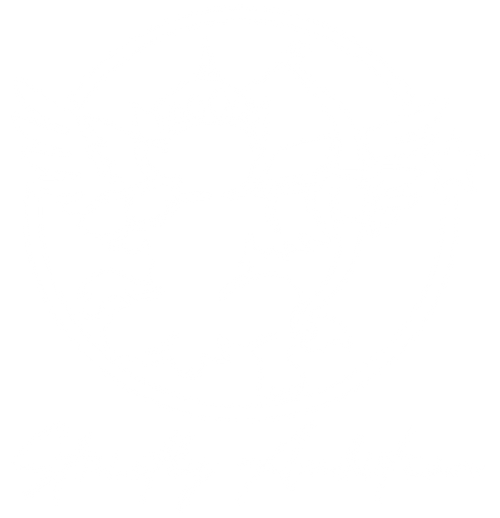STRICTLY AMBITION